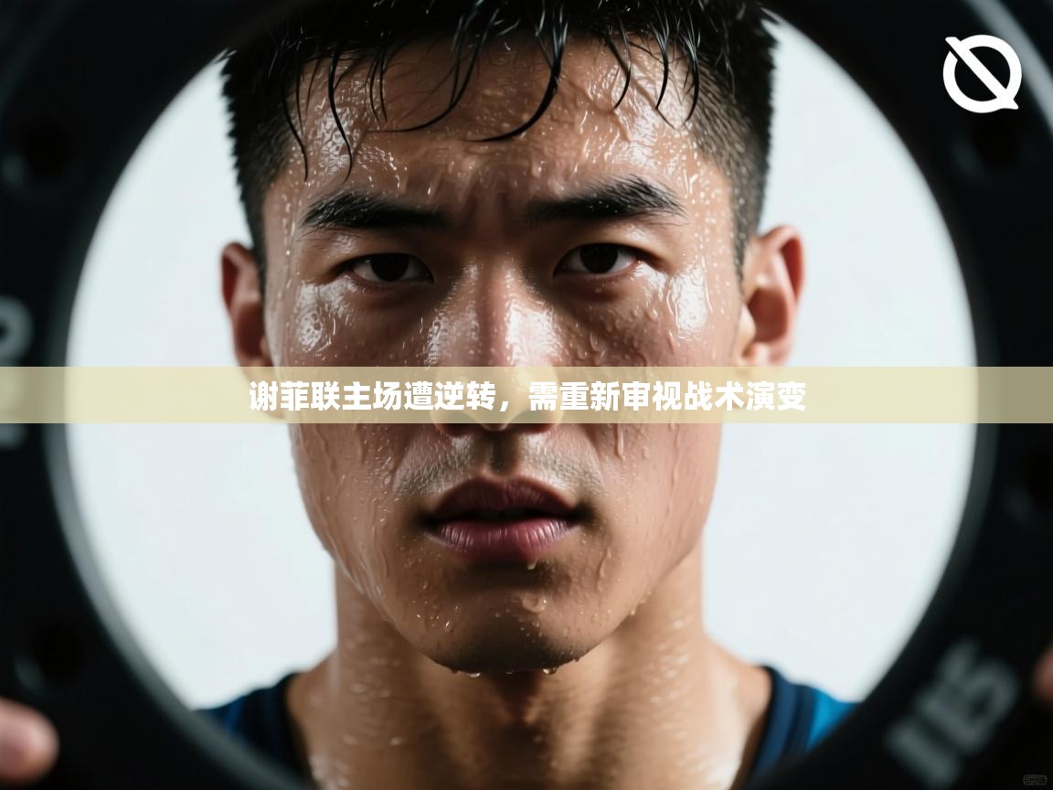 云开体育官网登录入口手机版-谢菲联主场遭逆转,需重新审视战术演变  第3张