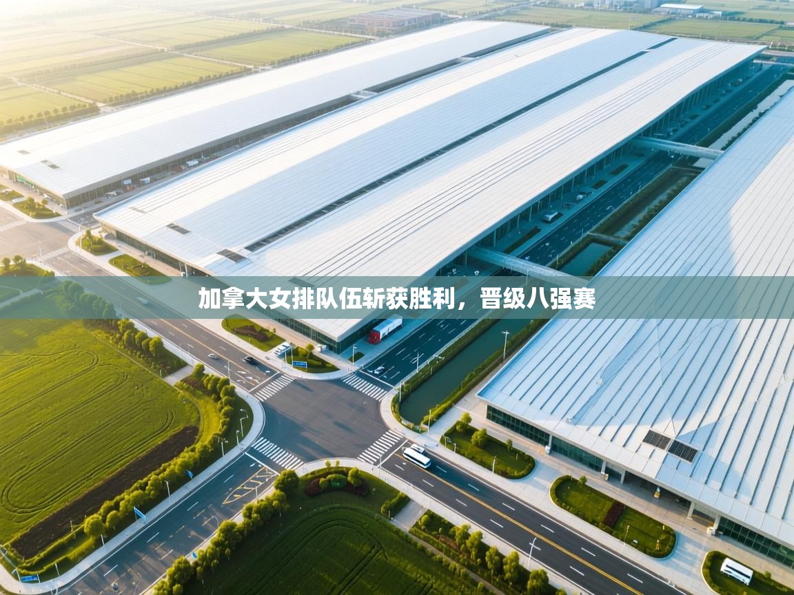 开云体育直播-加拿大女排队伍斩获胜利，晋级八强赛